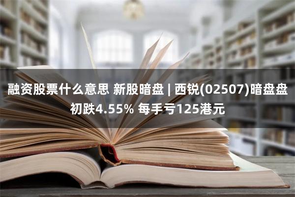 融资股票什么意思 新股暗盘 | 西锐(02507)暗盘盘初跌4.55% 每手亏125港元