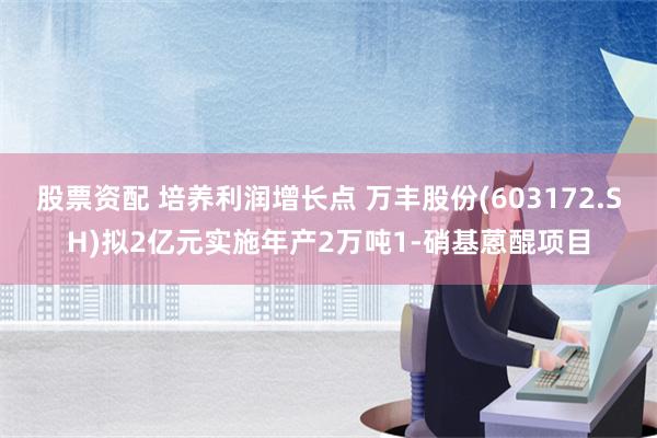 股票资配 培养利润增长点 万丰股份(603172.SH)拟2亿元实施年产2万吨1-硝基蒽醌项目