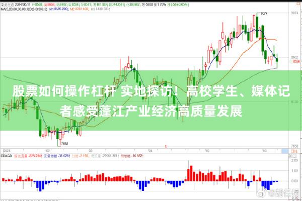 股票如何操作杠杆 实地探访！高校学生、媒体记者感受蓬江产业经济高质量发展