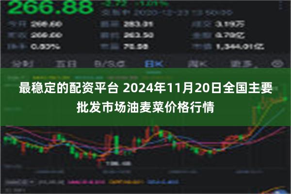 最稳定的配资平台 2024年11月20日全国主要批发市场油麦菜价格行情