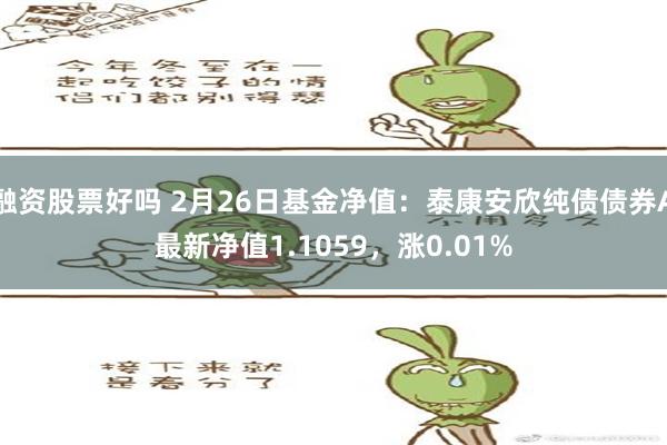 融资股票好吗 2月26日基金净值：泰康安欣纯债债券A最新净值1.1059，涨0.01%